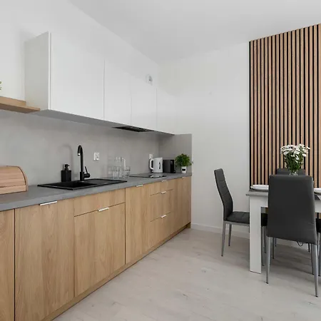 Art - Elegant In With Rooftop Seasonal Pool By Renters Lägenhet Mielno (Koszalin)