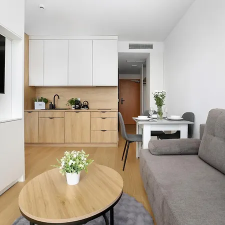 Art - Elegant In With Rooftop Seasonal Pool By Renters Apartamento Mielno (Koszalin)